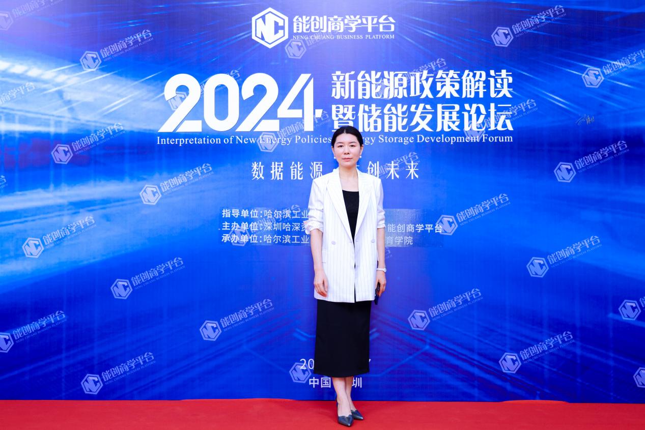 推进储能科技创新与实践！2024新能源政策解读暨储能发展论坛在深圳召开(图3)