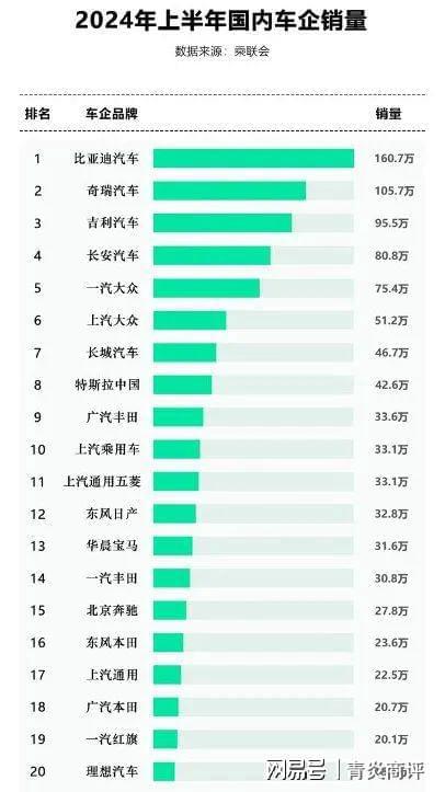 新能源汽车2024上半年何去下半场何从？(图2)